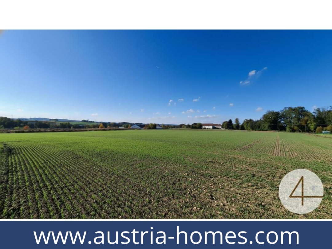austria-homes-ried im innkreis-4910-20260119054807-0061101006.jpg